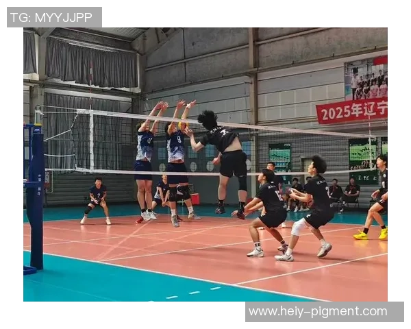 广州排球队领跑最新排球配合TOP10展现团队默契与实力